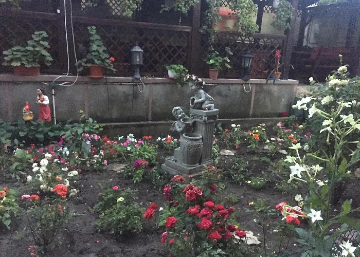 Efor 3* Észak-Eforie